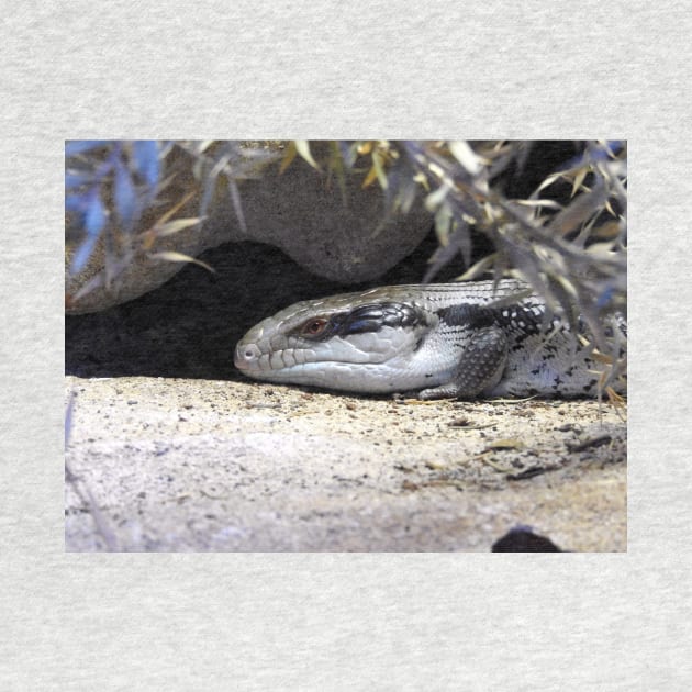 Blue Tongue by kirstybush